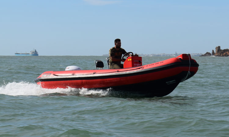 art1-4-cobra-sailing-vela art1-4-cobra-sailing-vela