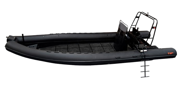 Cobra-diving-799-removebg-preview teste texto alternativo