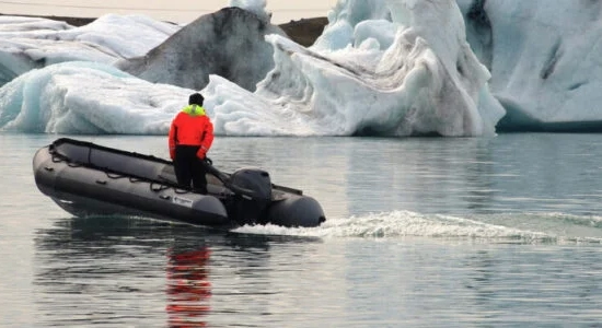 cobra-ribs-iceberg